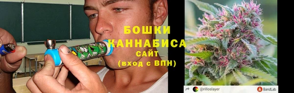 ГАЛЛЮЦИНОГЕННЫЕ ГРИБЫ Алзамай