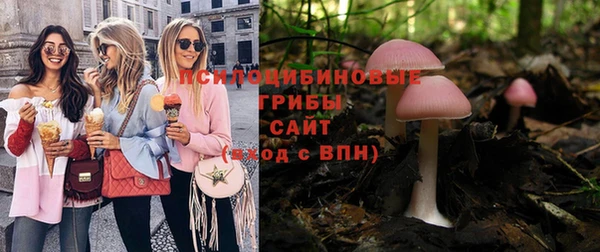 ГАЛЛЮЦИНОГЕННЫЕ ГРИБЫ Алзамай