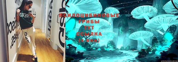 ГАЛЛЮЦИНОГЕННЫЕ ГРИБЫ Алзамай