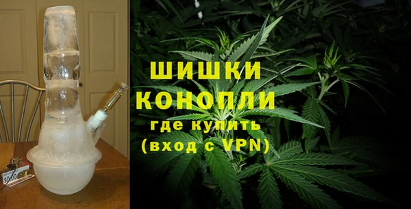 хмурый Дмитров