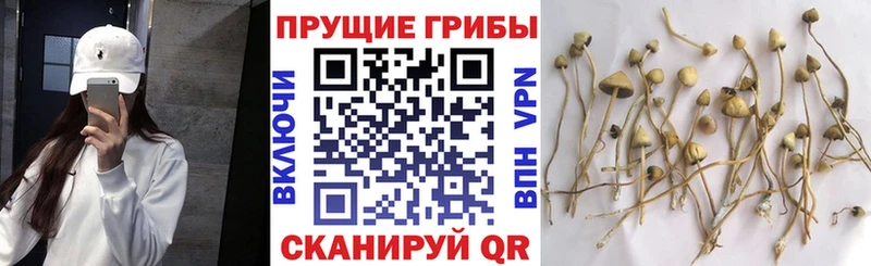 Галлюциногенные грибы ЛСД  Динская 